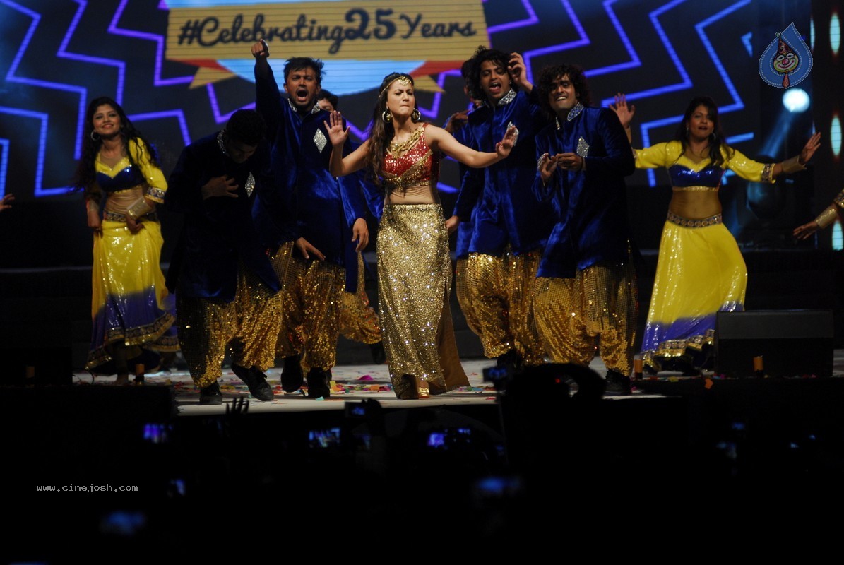 Bolly Celebs Perform at New Year Eve 2015 Celebrations - 29 / 107 photos