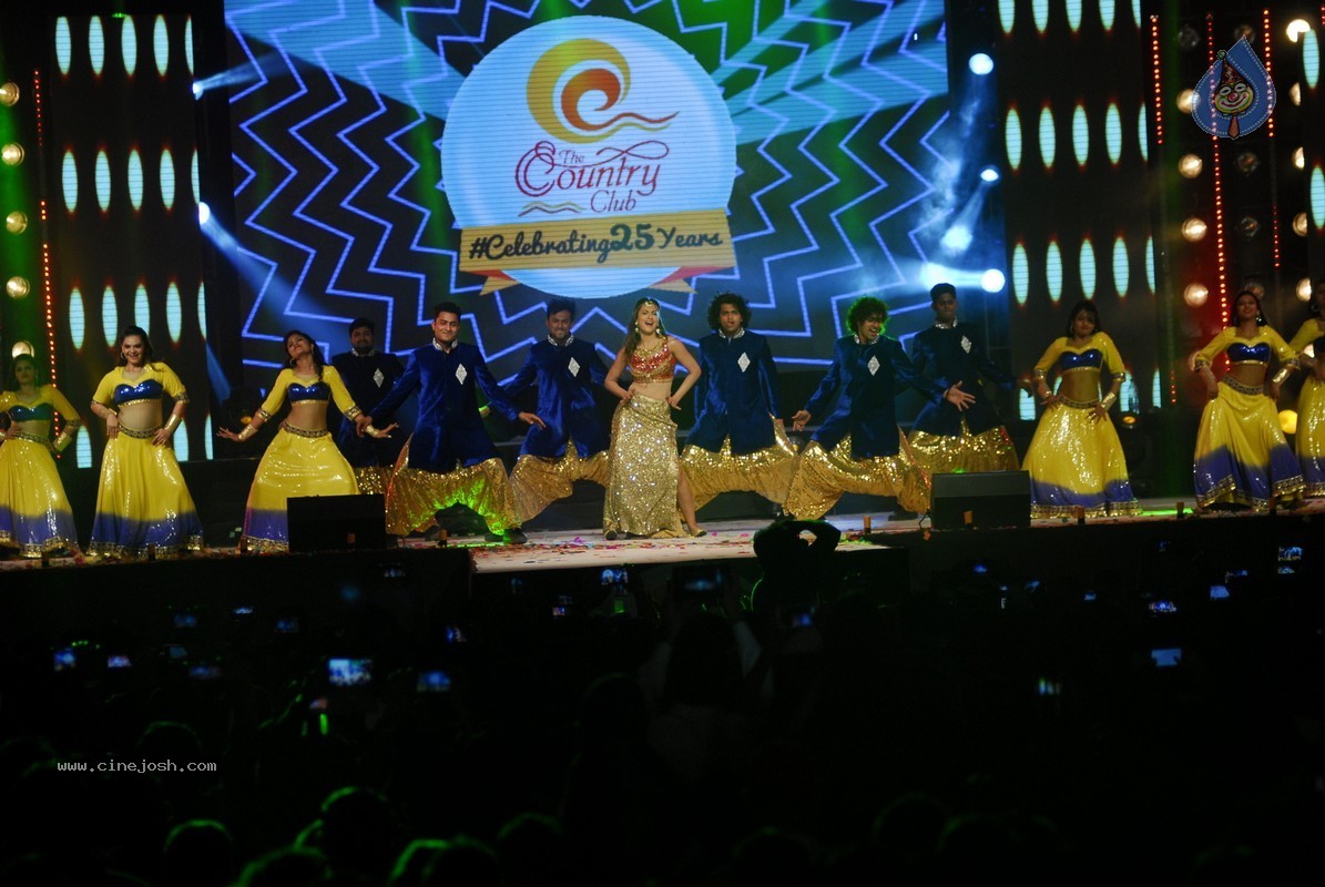 Bolly Celebs Perform at New Year Eve 2015 Celebrations - 37 / 107 photos