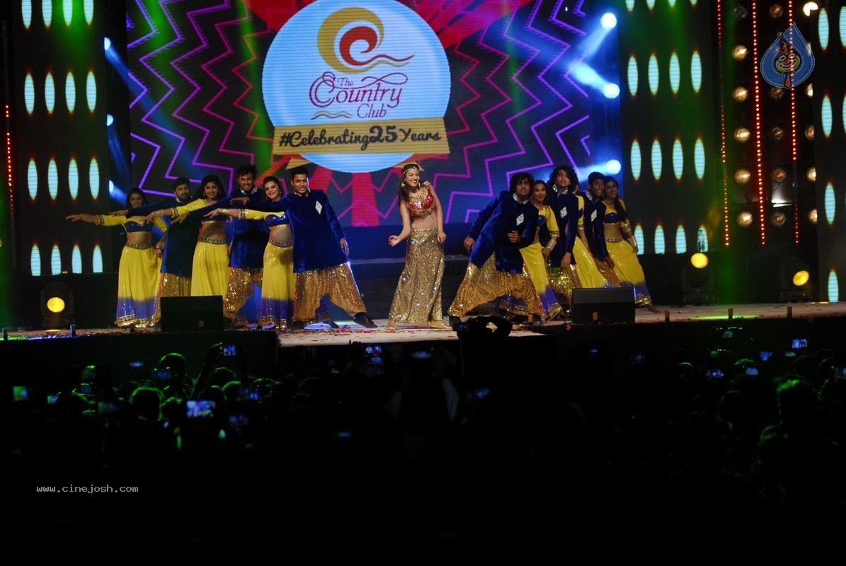 Bolly Celebs Perform at New Year Eve 2015 Celebrations - 38 / 107 photos