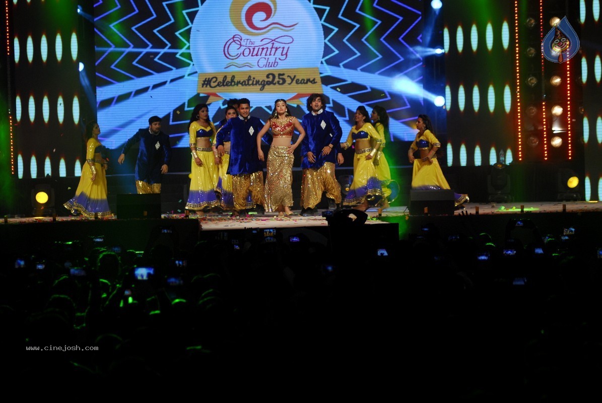 Bolly Celebs Perform at New Year Eve 2015 Celebrations - 41 / 107 photos