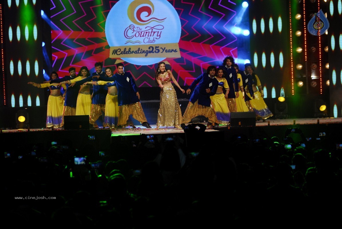 Bolly Celebs Perform at New Year Eve 2015 Celebrations - 93 / 107 photos