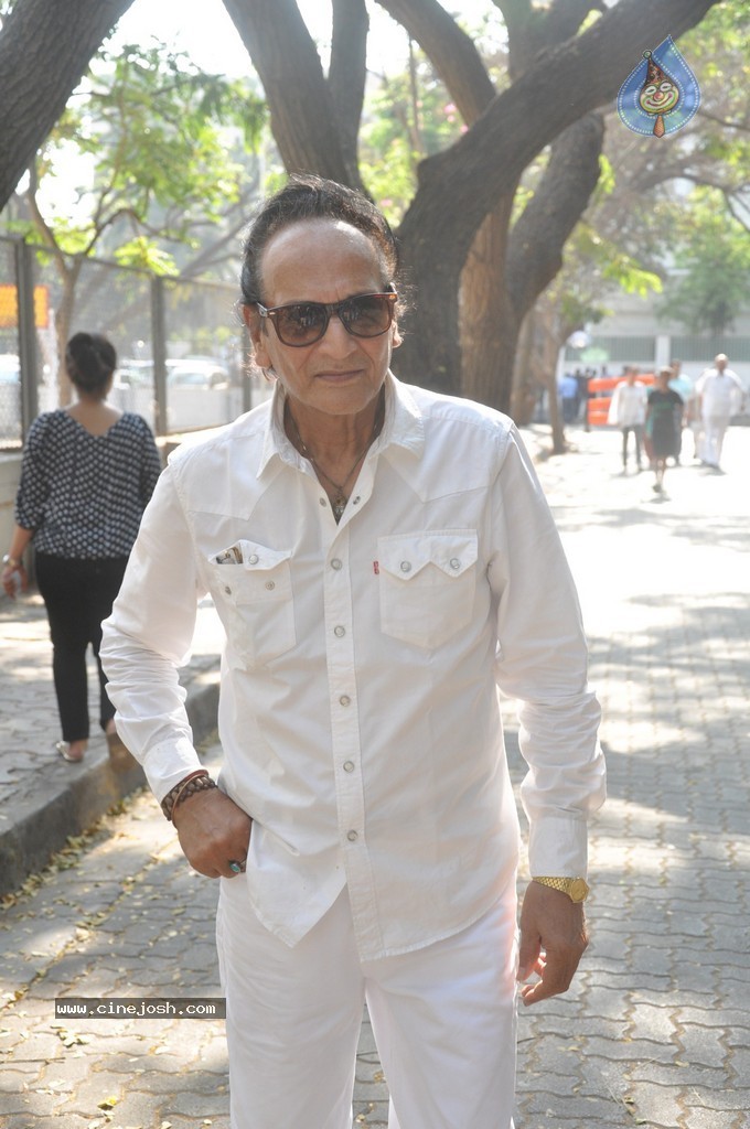 Bolly Celebs Snapped Voting for Loksabha Polls 2014 - 20 / 233 photos