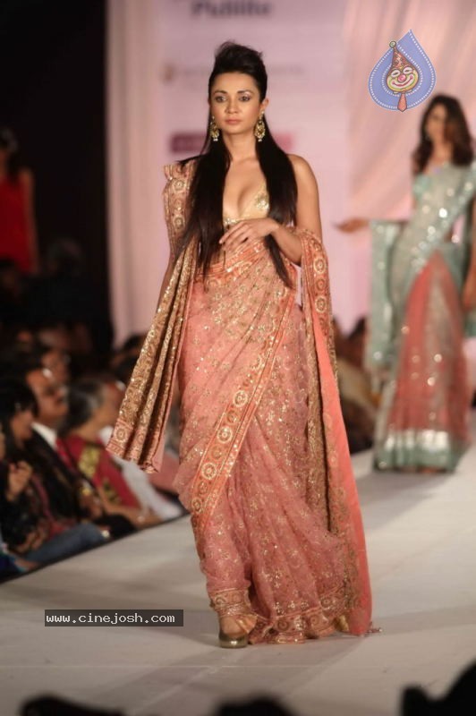 Bolly Celebs Walk the Ramp at Pidilite CPAA Fashion Show - 19 / 65 photos