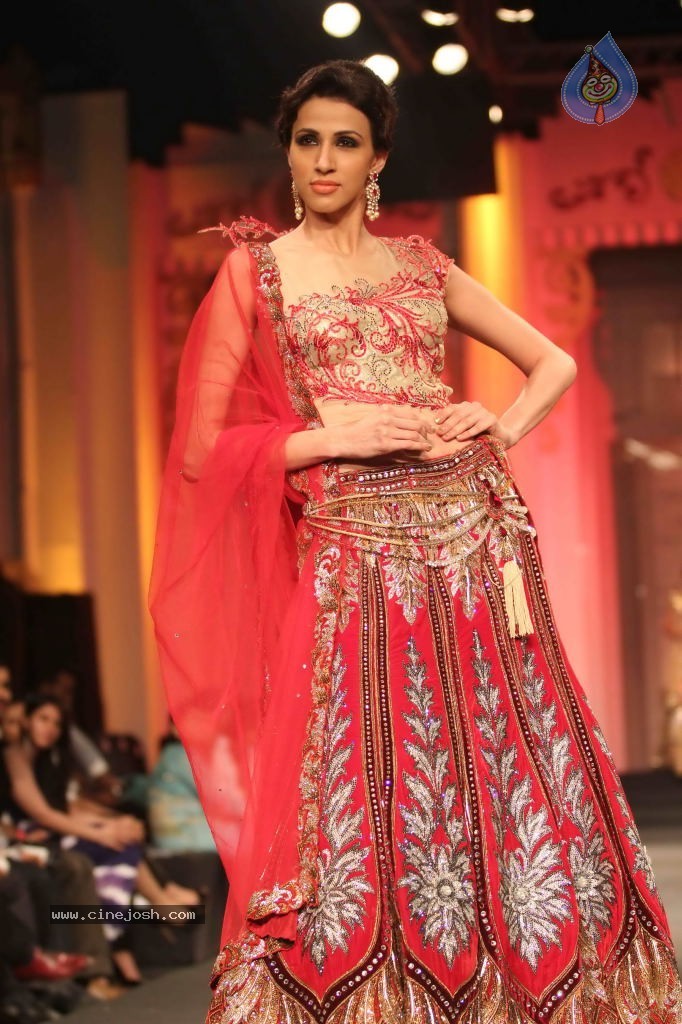 Bolly Celebs Walks the Ramp at AVIBFW- 01 - 59 / 118 photos