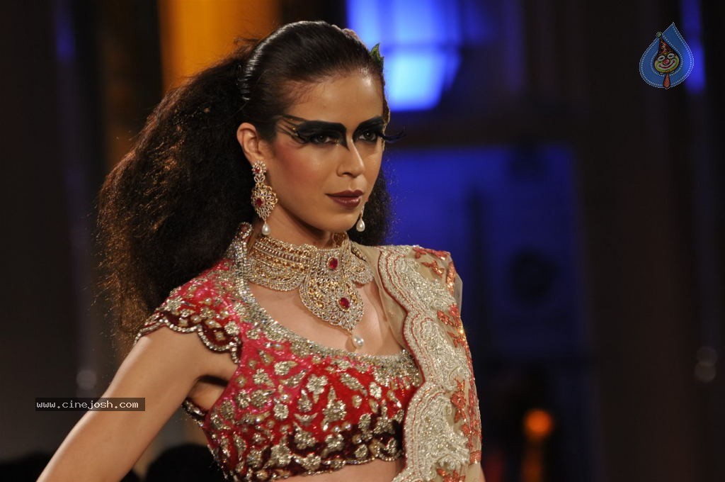 Bolly Celebs Walks the Ramp at AVIBFW- 02 - 13 / 115 photos