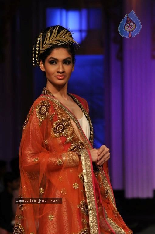Bolly Celebs Walks the Ramp at AVIBFW- 02 - 30 / 115 photos