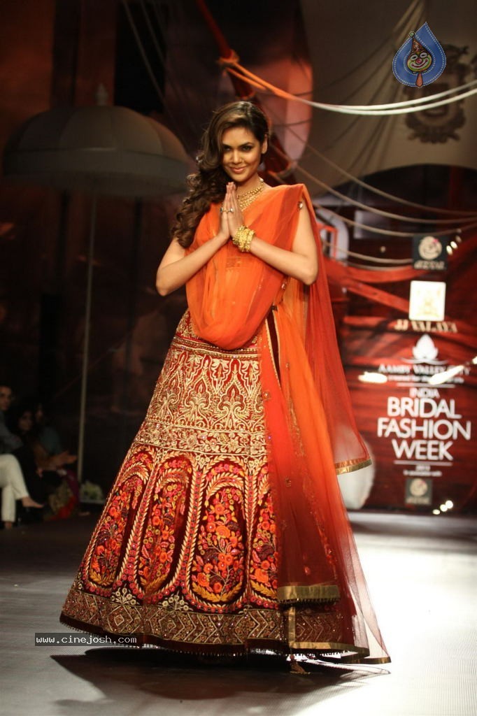 Bolly Celebs Walks the Ramp at AVIBW - 63 / 101 photos