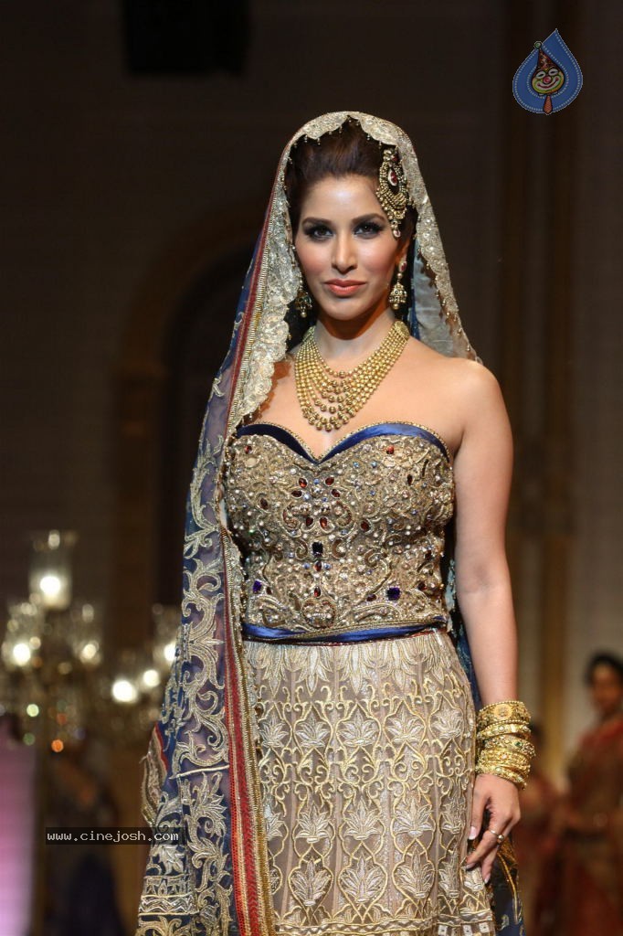 Bolly Celebs Walks the Ramp at AVIBW - 67 / 101 photos