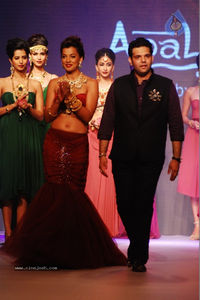 Bolly Celebs Walks the Ramp at IIJW - 6 / 152 photos