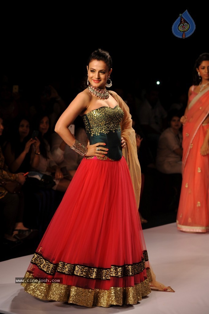 Bolly Celebs Walks the Ramp at IIJW 2014 - 1 / 131 photos