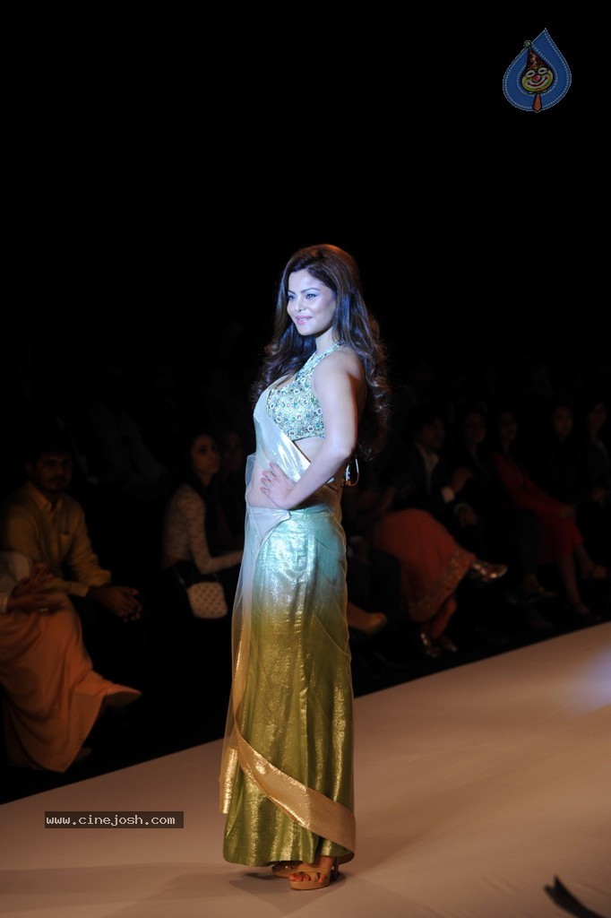 Bolly Celebs Walks the Ramp at IIJW 2014 - 11 / 131 photos