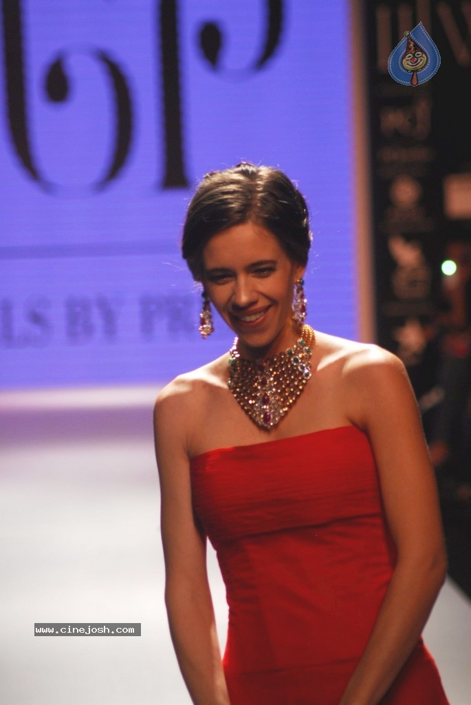 Bolly Celebs Walks the Ramp at IIJW 2014 - 17 / 131 photos