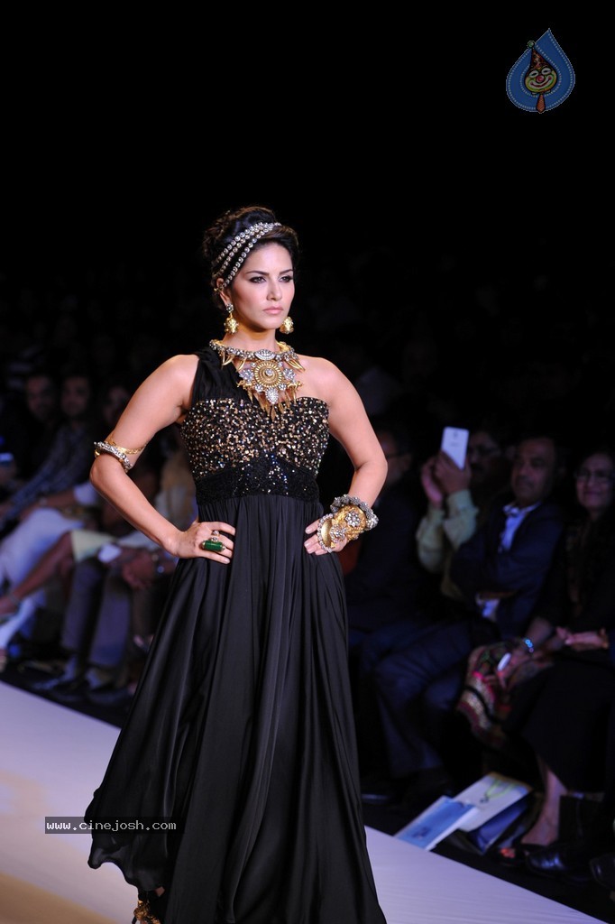 Bolly Celebs Walks the Ramp at IIJW 2014 - 20 / 131 photos