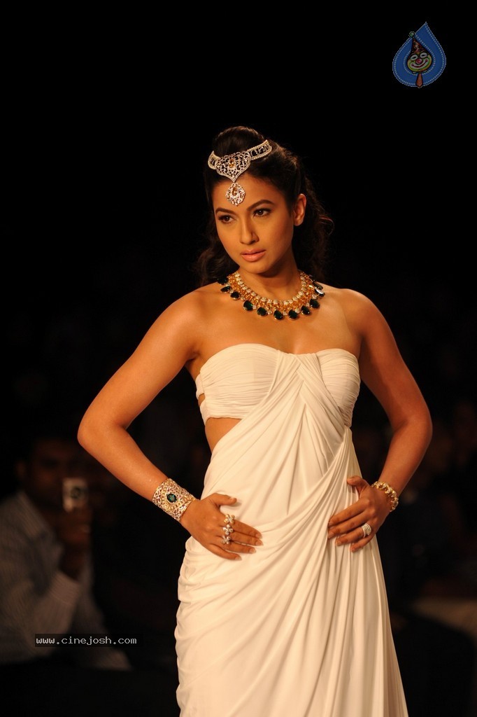 Bolly Celebs Walks the Ramp at IIJW 2014 - 25 / 131 photos