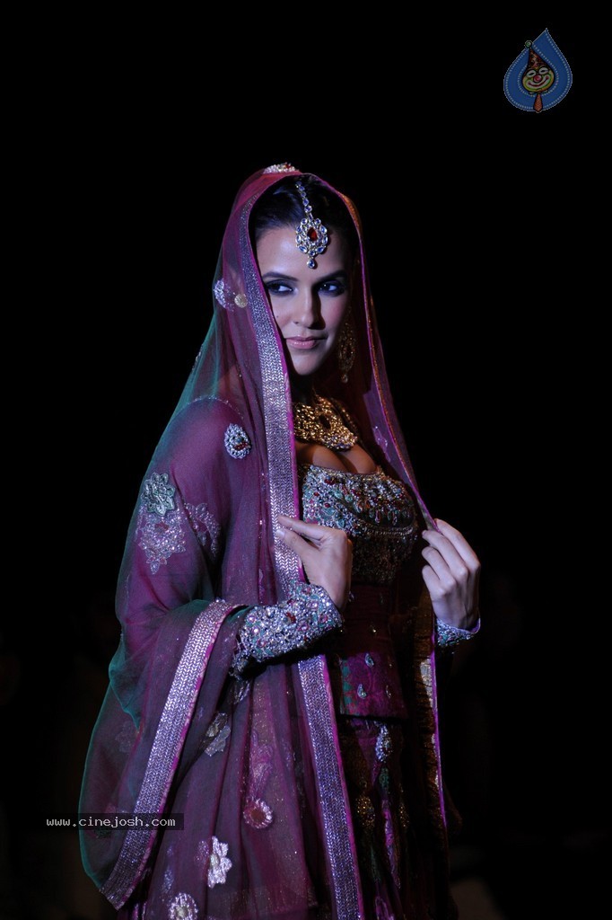 Bolly Celebs Walks the Ramp at IIJW 2014 - 26 / 131 photos
