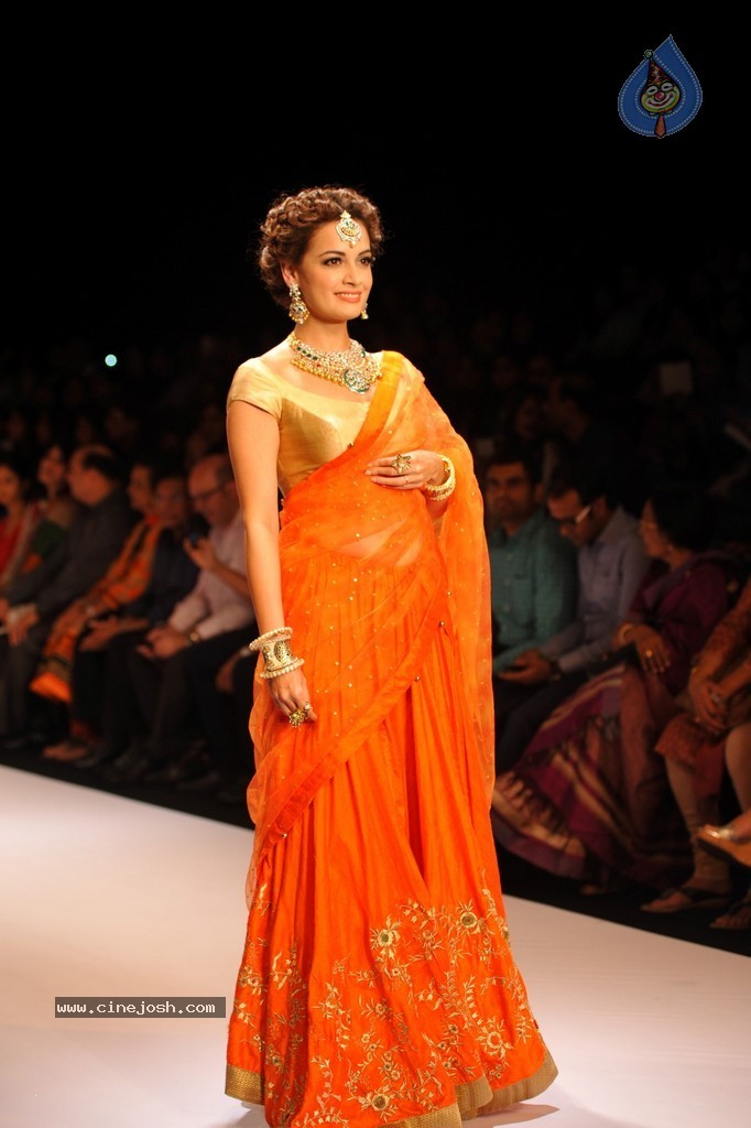 Bolly Celebs Walks the Ramp at IIJW 2014 - 27 / 131 photos