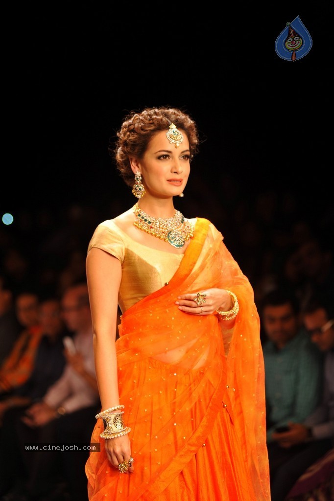 Bolly Celebs Walks the Ramp at IIJW 2014 - 31 / 131 photos