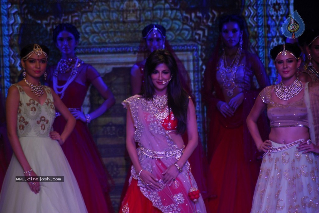 Bolly Celebs Walks the Ramp at IIJW 2014 - 33 / 131 photos