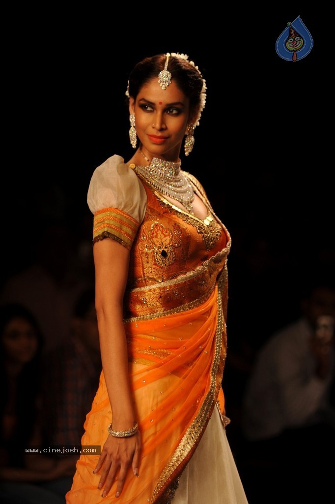 Bolly Celebs Walks the Ramp at IIJW 2014 - 38 / 131 photos