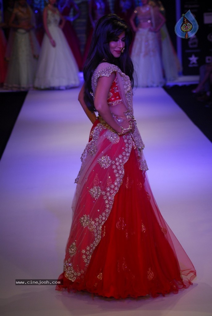 Bolly Celebs Walks the Ramp at IIJW 2014 - 41 / 131 photos
