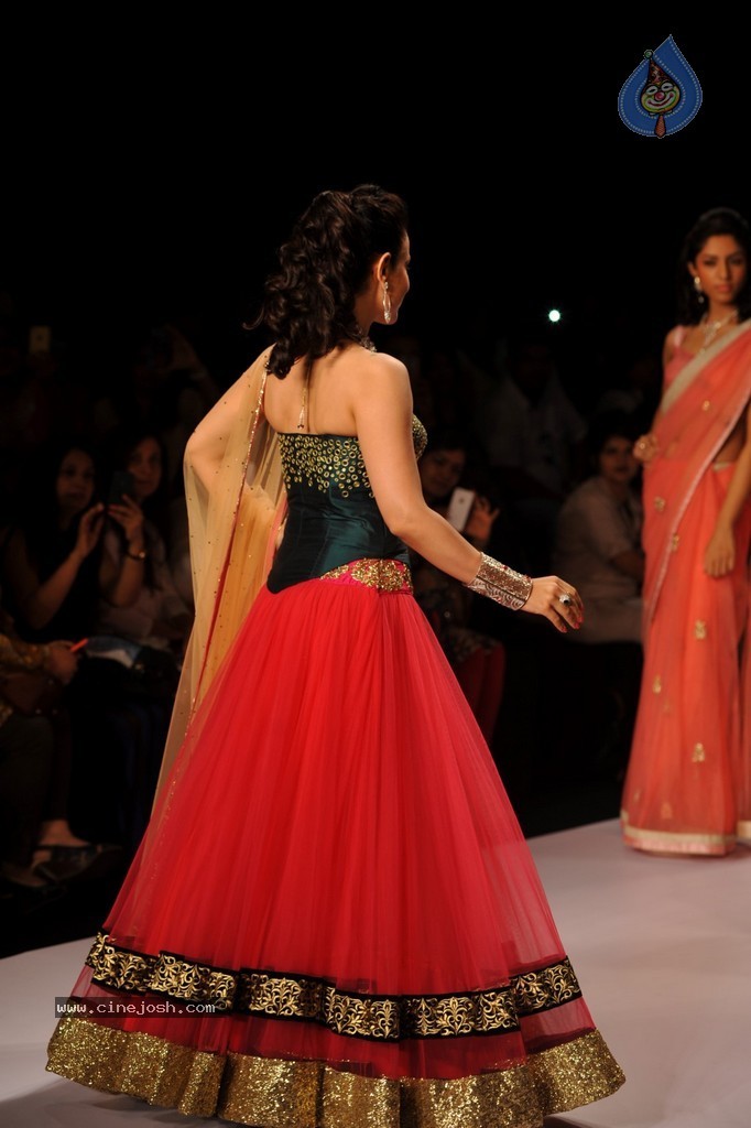 Bolly Celebs Walks the Ramp at IIJW 2014 - 44 / 131 photos