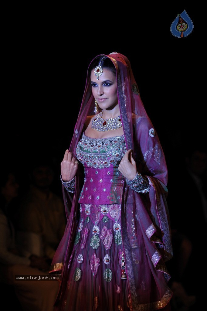 Bolly Celebs Walks the Ramp at IIJW 2014 - 46 / 131 photos