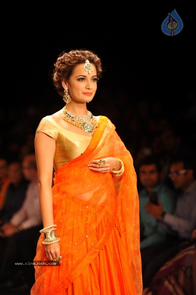 Bolly Celebs Walks the Ramp at IIJW 2014 - 47 / 131 photos