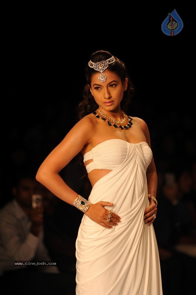 Bolly Celebs Walks the Ramp at IIJW 2014 - 49 / 131 photos