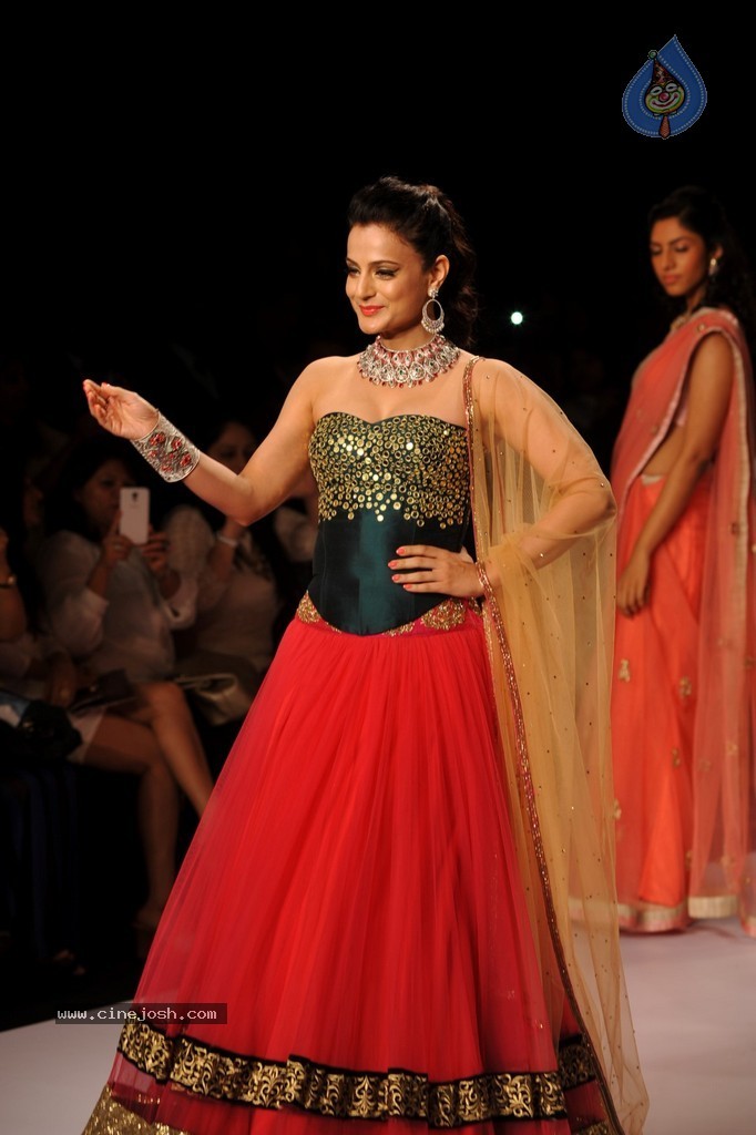 Bolly Celebs Walks the Ramp at IIJW 2014 - 50 / 131 photos