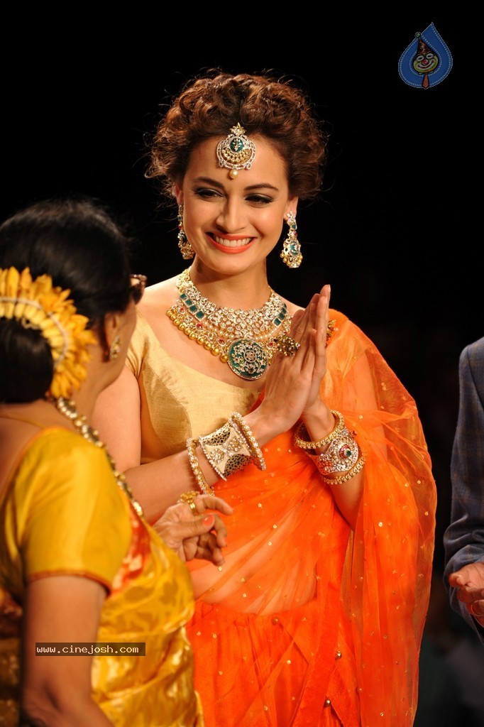 Bolly Celebs Walks the Ramp at IIJW 2014 - 51 / 131 photos