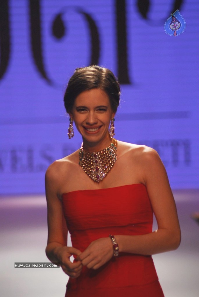 Bolly Celebs Walks the Ramp at IIJW 2014 - 55 / 131 photos