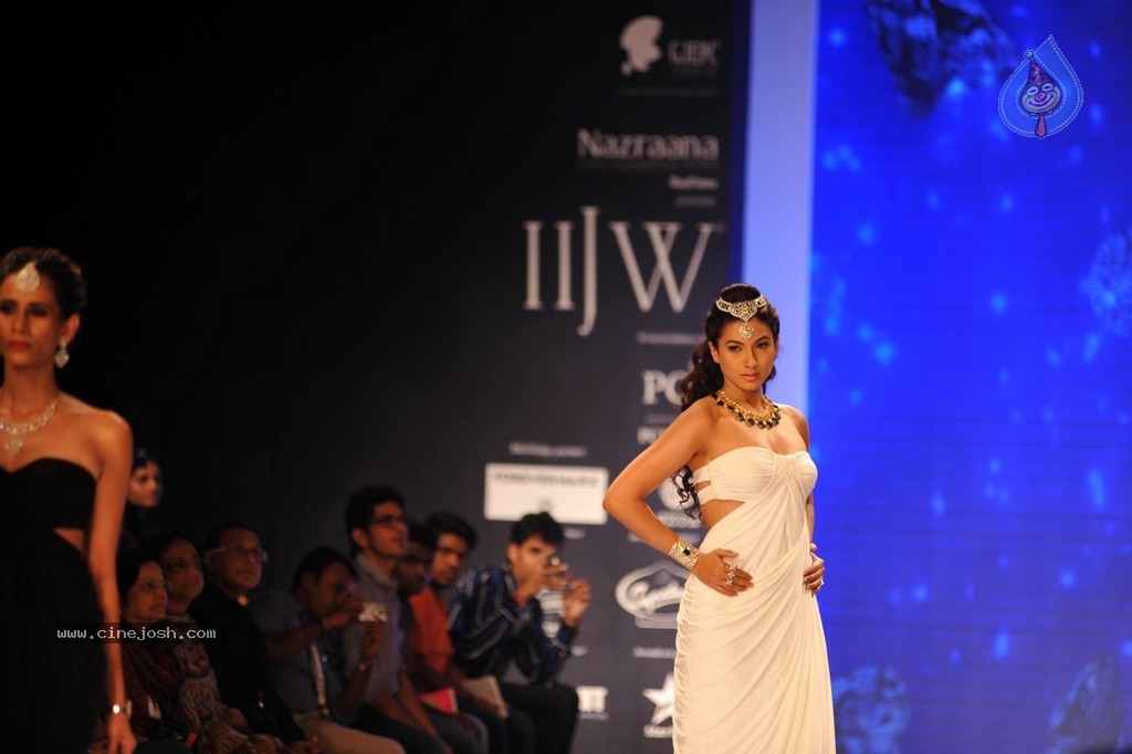 Bolly Celebs Walks the Ramp at IIJW 2014 - 58 / 131 photos