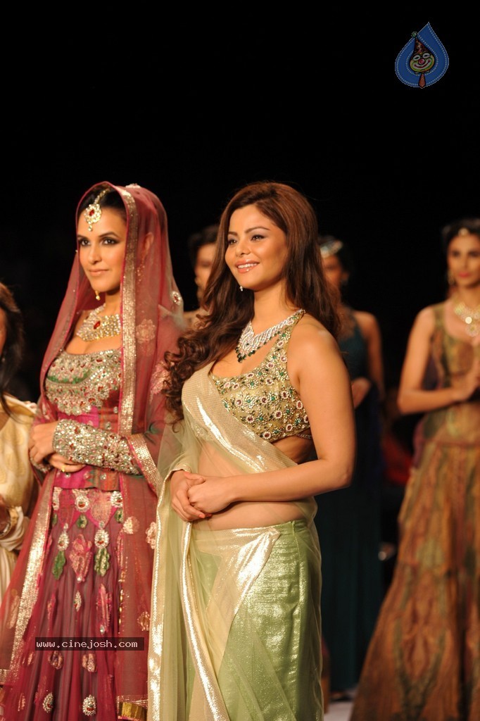 Bolly Celebs Walks the Ramp at IIJW 2014 - 59 / 131 photos