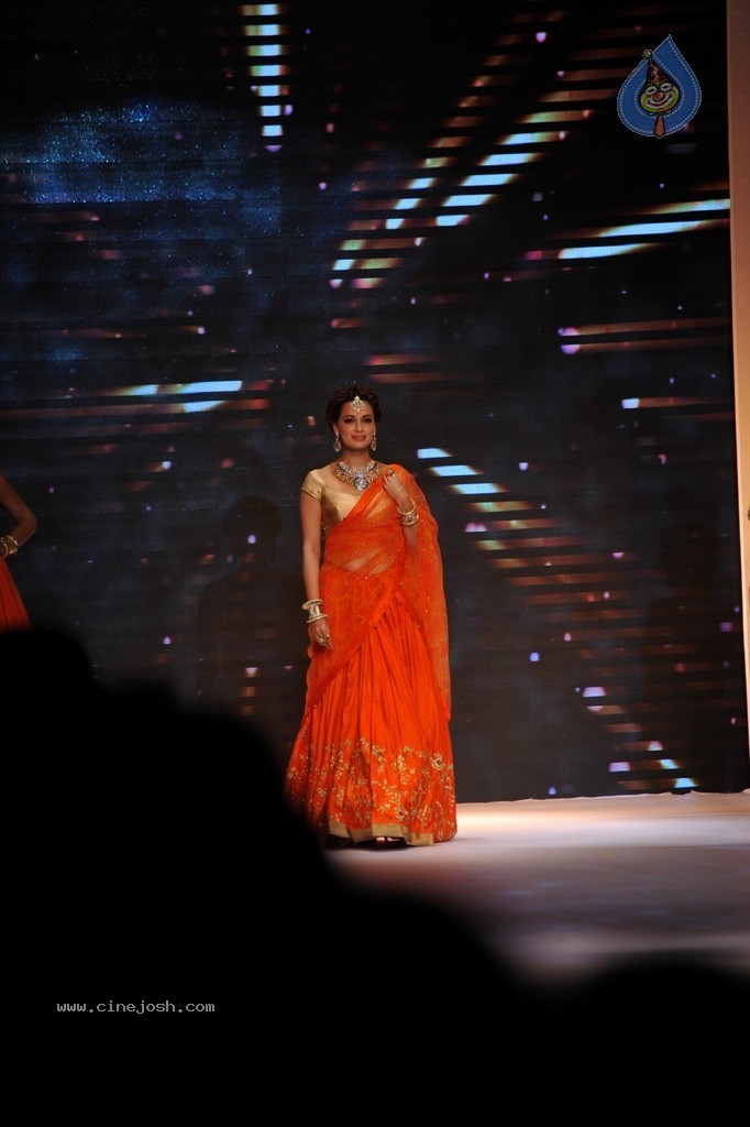 Bolly Celebs Walks the Ramp at IIJW 2014 - 62 / 131 photos