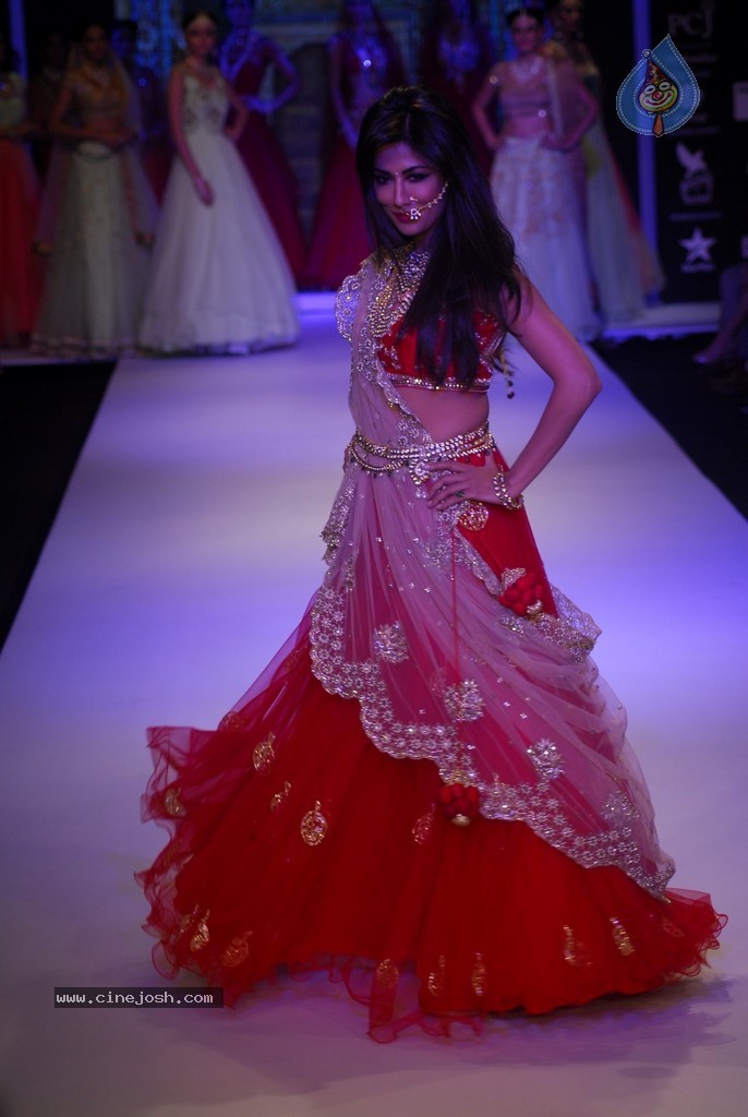 Bolly Celebs Walks the Ramp at IIJW 2014 - 67 / 131 photos