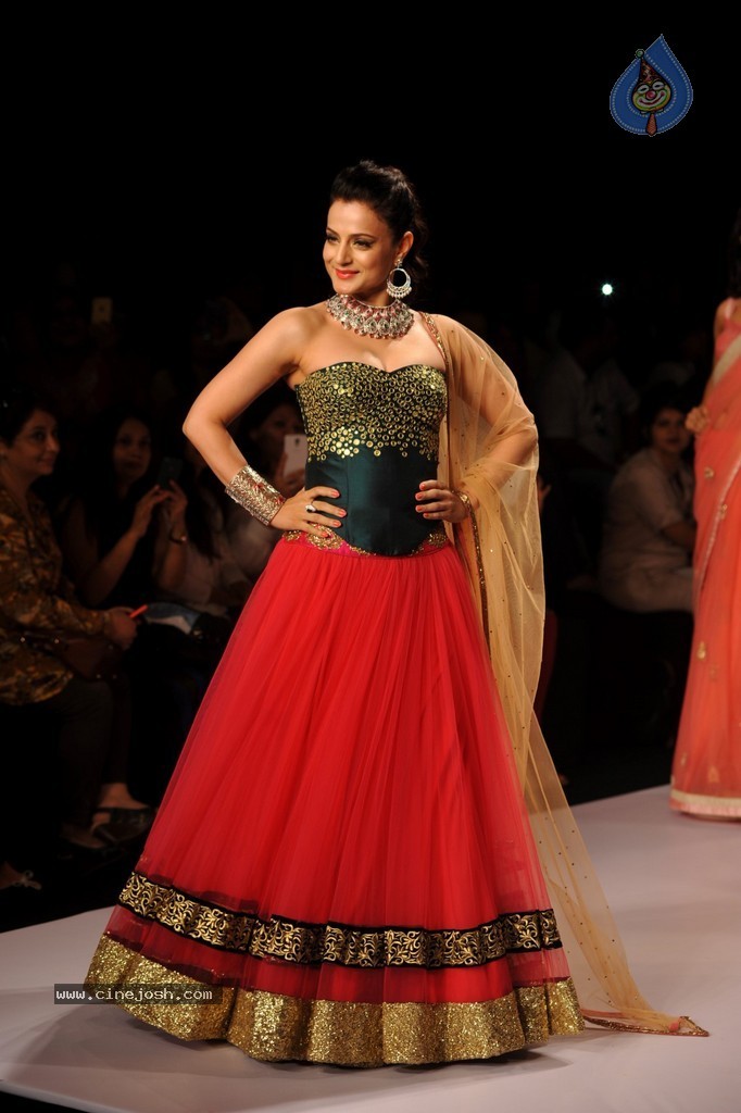 Bolly Celebs Walks the Ramp at IIJW 2014 - 81 / 131 photos