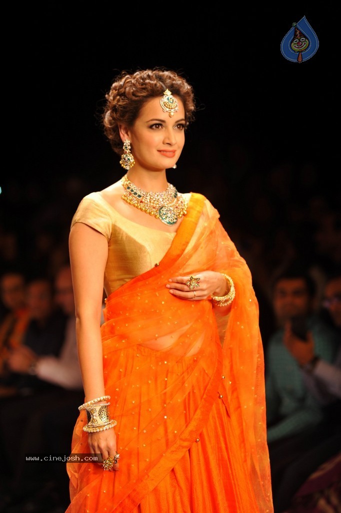 Bolly Celebs Walks the Ramp at IIJW 2014 - 84 / 131 photos