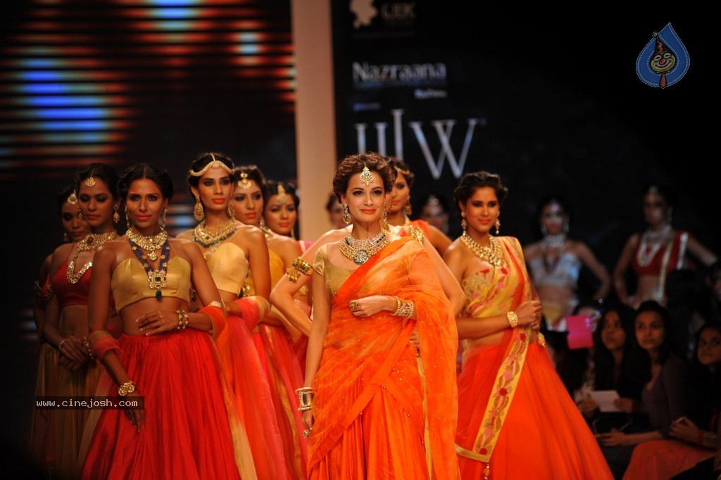 Bolly Celebs Walks the Ramp at IIJW 2014 - 95 / 131 photos