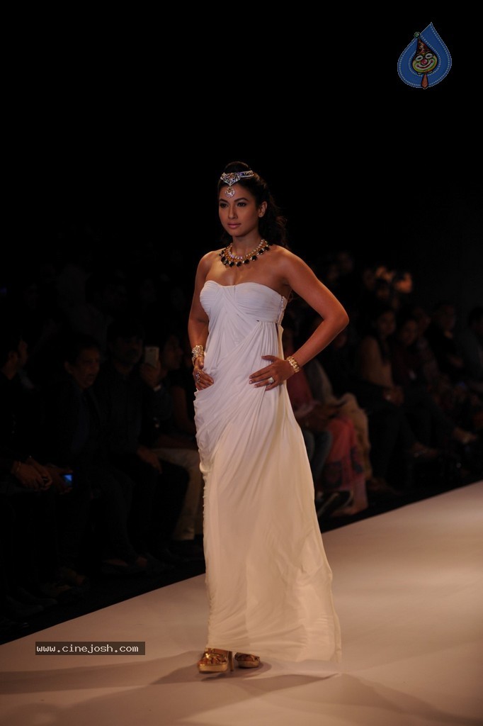 Bolly Celebs Walks the Ramp at IIJW 2014 - 100 / 131 photos