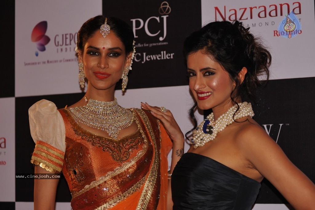 Bolly Celebs Walks the Ramp at IIJW 2014 - 117 / 131 photos