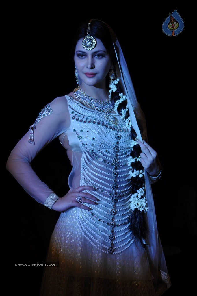 Bolly Celebs Walks the Ramp at IIJW 2014 - 119 / 131 photos