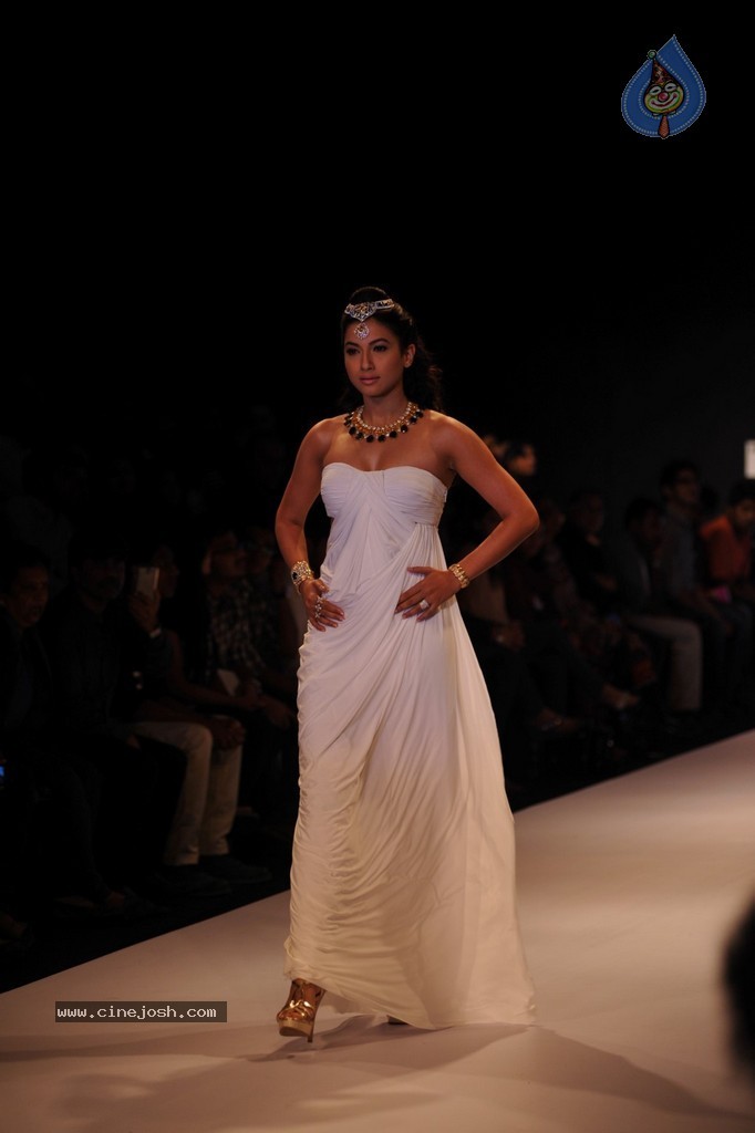 Bolly Celebs Walks the Ramp at IIJW 2014 - 122 / 131 photos