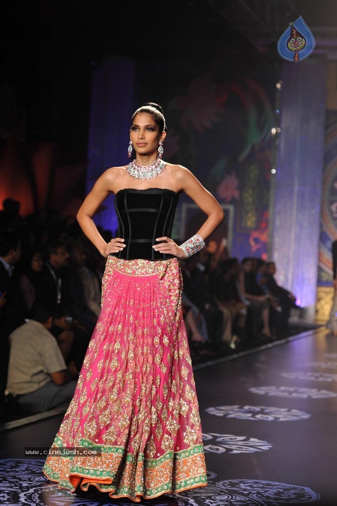 Bolly Celebs Walks the Ramp at IIJW 2014 Grand Finale - 3 / 114 photos