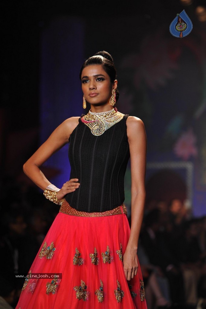 Bolly Celebs Walks the Ramp at IIJW 2014 Grand Finale - 52 / 114 photos