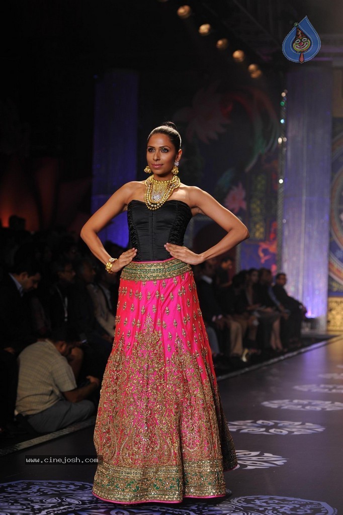 Bolly Celebs Walks the Ramp at IIJW 2014 Grand Finale - 107 / 114 photos