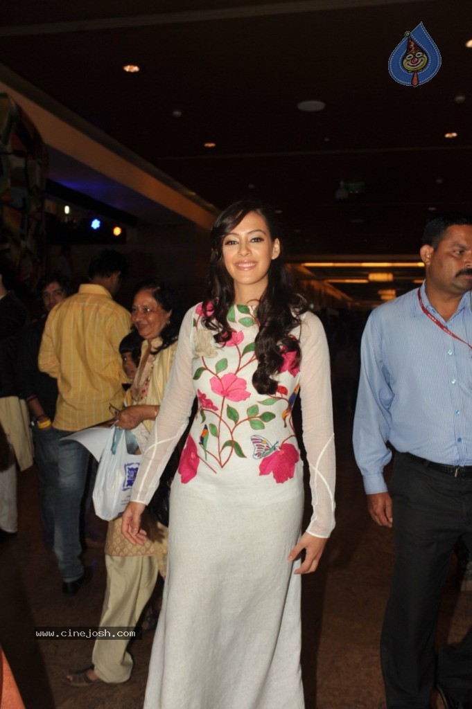 Bolly Celebs Walks the Ramp at LFW Day 4 - 91 / 134 photos