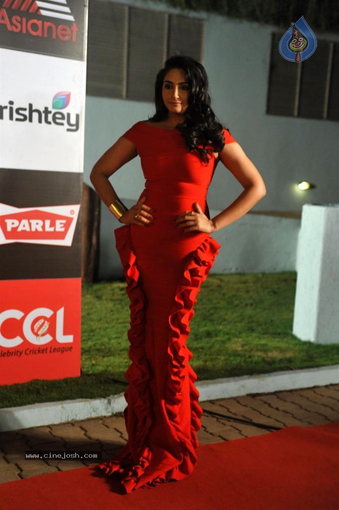 Bolly n South Celebs at CCL Season 4 Launch 01 - 61 / 150 photos