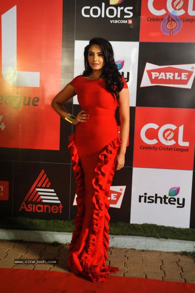 Bolly n South Celebs at CCL Season 4 Launch 01 - 131 / 150 photos