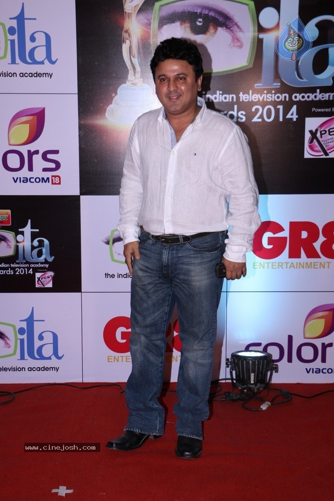 Bolly n TV Celebs at 14th Indian Television Academy Awards - 53 / 70 photos