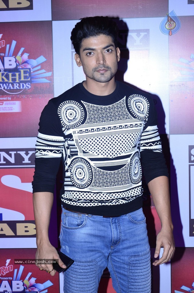 Bolly n TV Celebs at SAB Ke Anokhe Awards 2014 - 33 / 102 photos